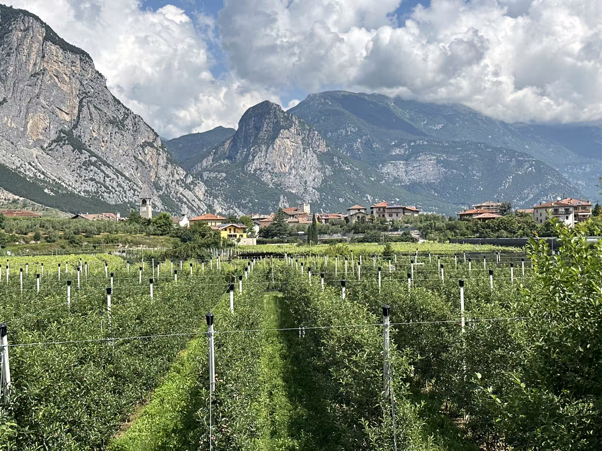 Bolzano - Lake guarda loop thumbnail 3