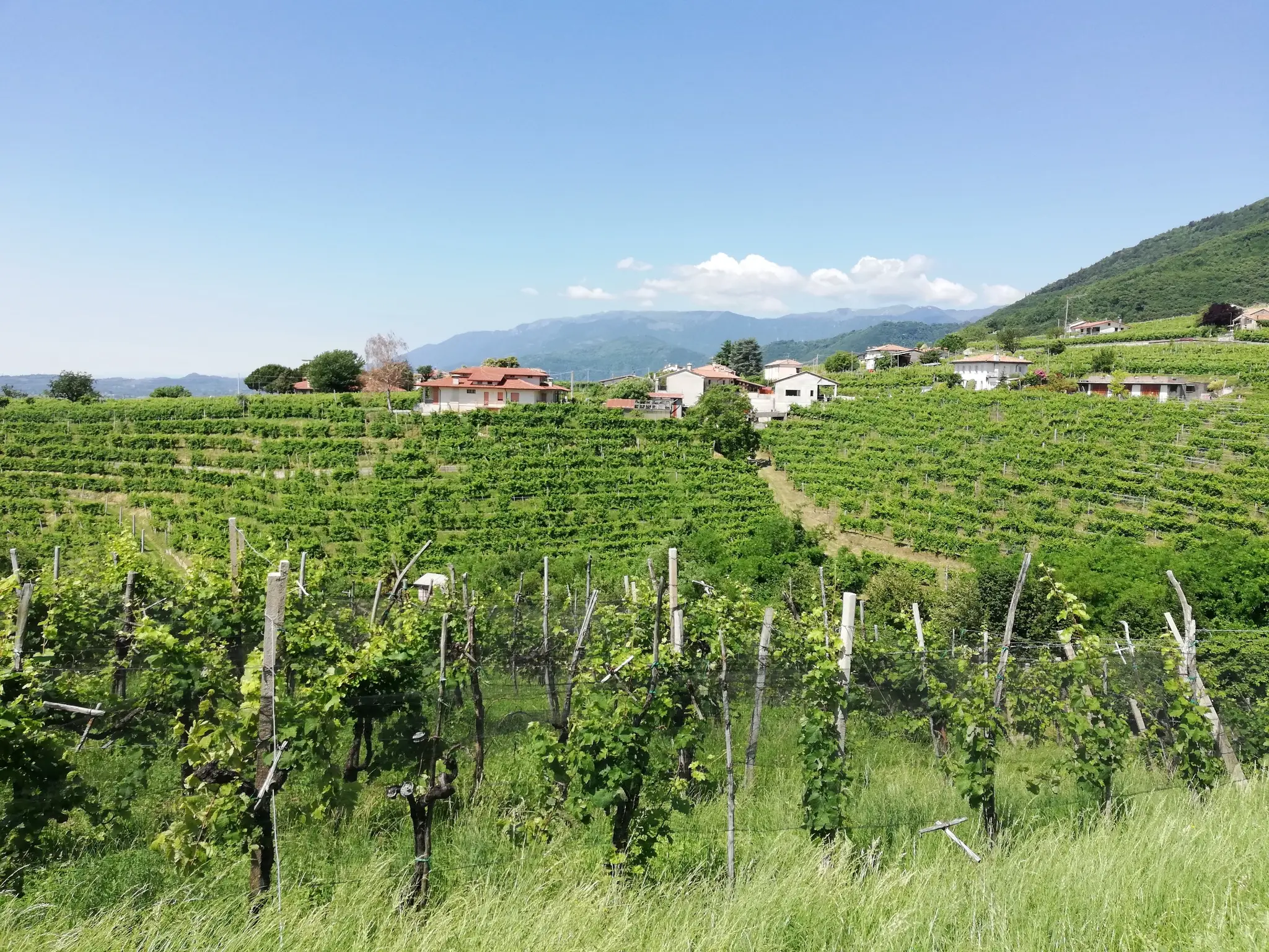 Prosecco & Prosciutto 5 Day Loop Venetian Hills thumbnail 2