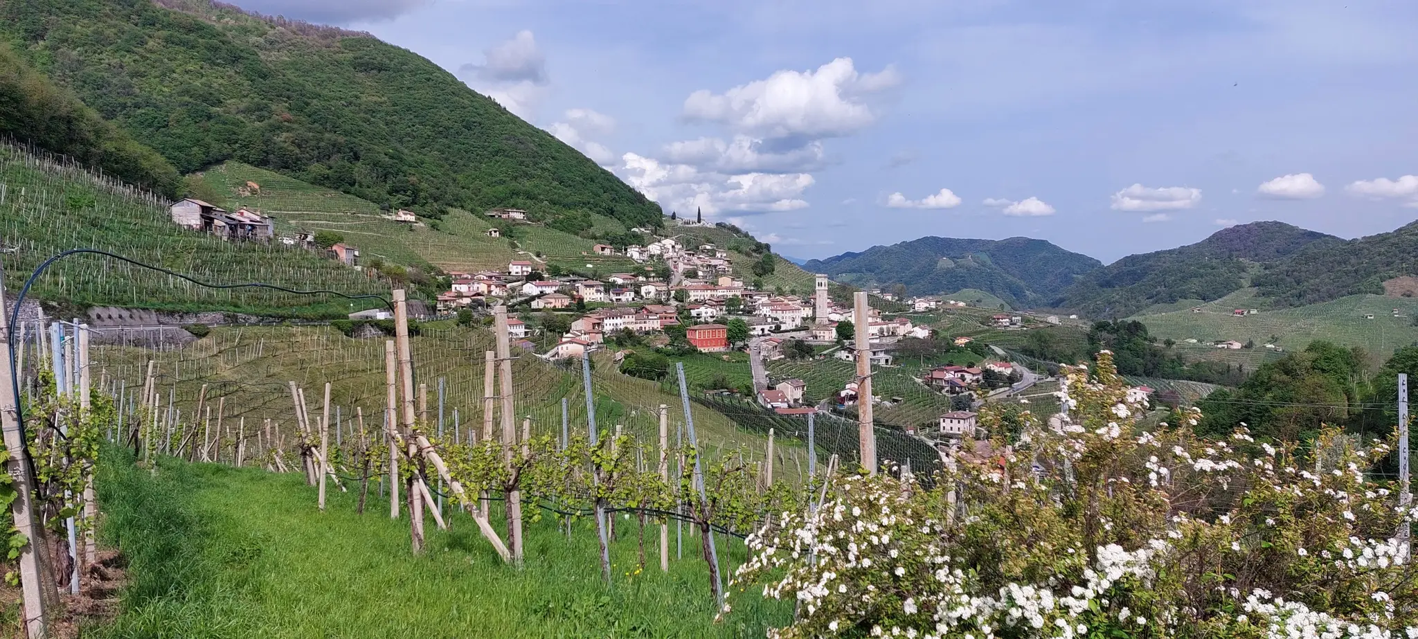 Prosecco & Prosciutto 5 Day Loop Venetian Hills thumbnail 3